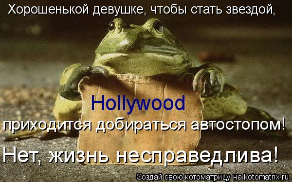 Hollywood Хорошенькой девушке, чтобы стать звездой, приходится добираться автостопом! Нет, жизнь несп... Котоматрица: Hollywood Хорошенькой девушке, чтобы стать звездой, приходится добираться автостопом! Нет, жизнь несправедлива!