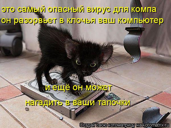 это самый опасный вирус для компа он разорвьет в клочья ваш компьютер и ещё он может нагадить в ваши... Котоматрица: это самый опасный вирус для компа он разорвьет в клочья ваш компьютер и ещё он может нагадить в ваши тапочки