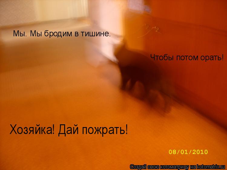 Мы… Мы бродим в тишине… Чтобы потом орать! Хозяйка! Дай пожрать!... Котоматрица: Мы… Мы бродим в тишине… Чтобы потом орать! Хозяйка! Дай пожрать!