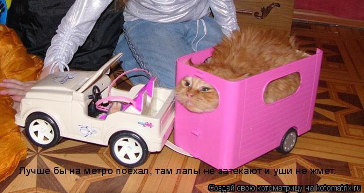 Лучше бы на метро поехал, там лапы не затекают и уши не жмет.... Котоматрица: Лучше бы на метро поехал, там лапы не затекают и уши не жмет.