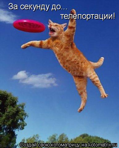 Котоматрица: За секунду до... телепортации!