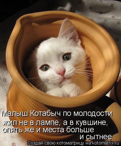 Малыш Котабыч по молодости жил не в лампе, а в кувшине, опять же и места больше и сытнее..... Котоматрица: Малыш Котабыч по молодости жил не в лампе, а в кувшине, опять же и места больше и сытнее..