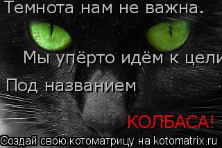 Темнота нам не важна… Мы упёрто идём к цели! Под названием КОЛБАСА!... Котоматрица: Темнота нам не важна… Мы упёрто идём к цели! Под названием КОЛБАСА!