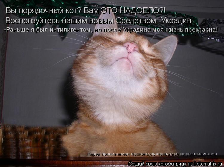 Вы порядочный кот? Вам ЭТО НАДОЕЛО?! Восползуйтесь нашим новым Средством -Украдин -Раньше я был интил... Котоматрица: Вы порядочный кот? Вам ЭТО НАДОЕЛО?! Восползуйтесь нашим новым Средством -Украдин -Раньше я был интилигентом, но после Украдина моя жизнь пр