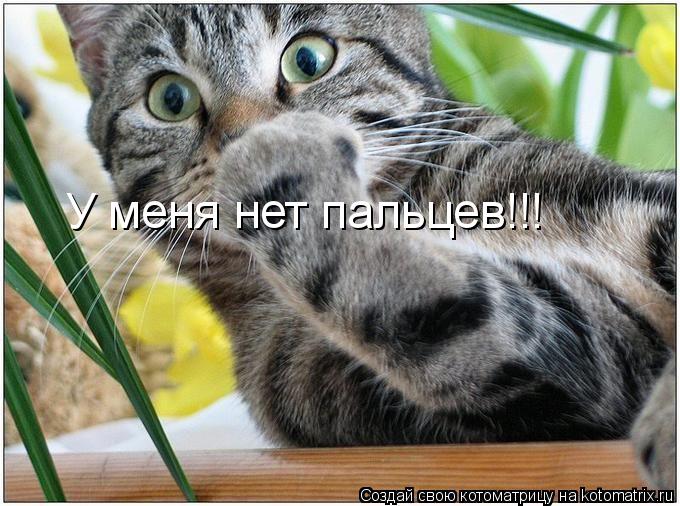 Котоматрица: У меня нет пальцев!!!