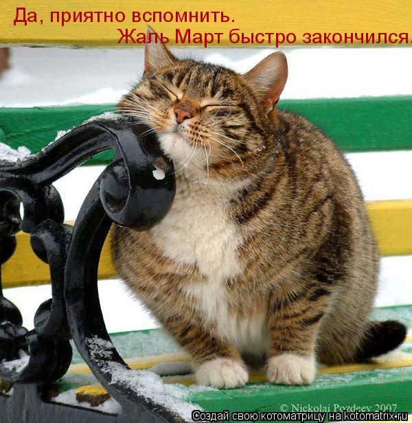 Жаль Март быстро закончился. Да, приятно вспомнить.... Котоматрица: Жаль Март быстро закончился. Да, приятно вспомнить.