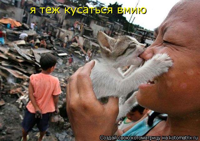 я теж кусаться вмию... Котоматрица: я теж кусаться вмию
