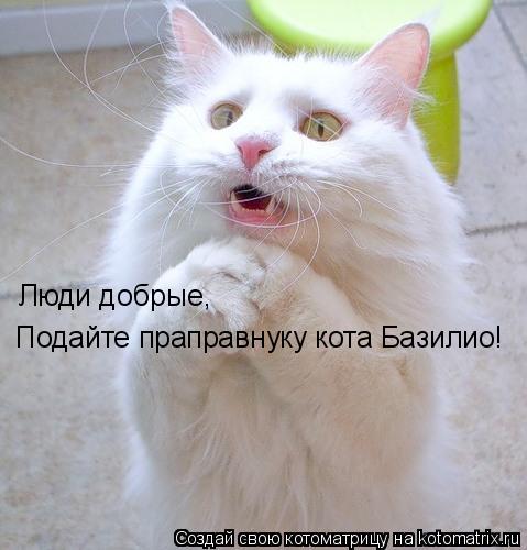 Люди добрые, Подайте праправнуку кота Базилио!... Котоматрица: Люди добрые, Подайте праправнуку кота Базилио!