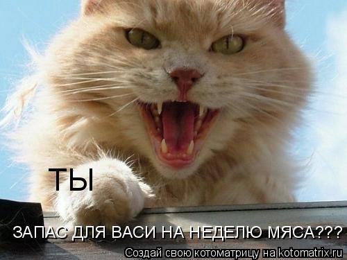 ТЫ ЗАПАС ДЛЯ ВАСИ НА НЕДЕЛЮ МЯСА???... Котоматрица: ТЫ ЗАПАС ДЛЯ ВАСИ НА НЕДЕЛЮ МЯСА???