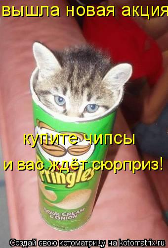 вышла новая акция купите чипсы и вас ждёт сюрприз!... Котоматрица: вышла новая акция купите чипсы и вас ждёт сюрприз!