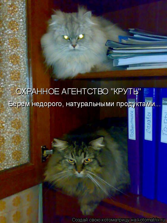 ОХРАННОЕ АГЕНТСТВО "КРУТЬ" Берем недорого, натуральными продуктами...... Котоматрица: ОХРАННОЕ АГЕНТСТВО "КРУТЬ" Берем недорого, натуральными продуктами...
