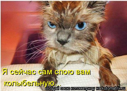 Я сейчас сам спою вам колыбельную...... Котоматрица: Я сейчас сам спою вам колыбельную...