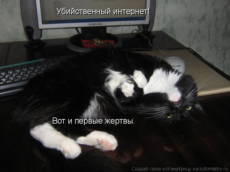 Убийственный интернет! Вот и первые жертвы.... Котоматрица: Убийственный интернет! Вот и первые жертвы.