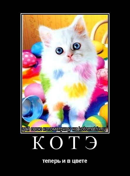 котэ теперь и в цвете... Котоматрица: котэ теперь и в цвете