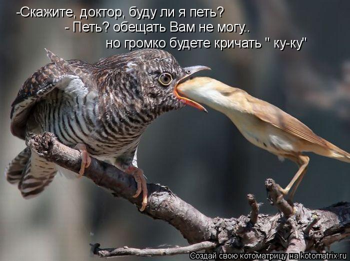 -Скажите, доктор, буду ли я петь? - Петь? обещать Вам не могу.. но громко будете кричать " ку-ку"... Котоматрица: -Скажите, доктор, буду ли я петь? - Петь? обещать Вам не могу.. но громко будете кричать " ку-ку"