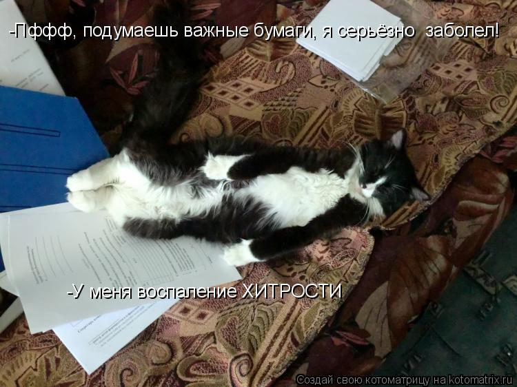 Котоматрица: -Пффф, подумаешь важные бумаги, я серьёзно  заболел! -У меня воспаление ХИТРОСТИ