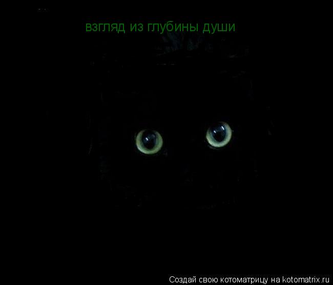 Котоматрица: взгляд из глубины души