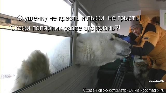 Котоматрица: Сгущёнку не красть и лыжи  не грызть! Скажи полярник разве это жизнь?!