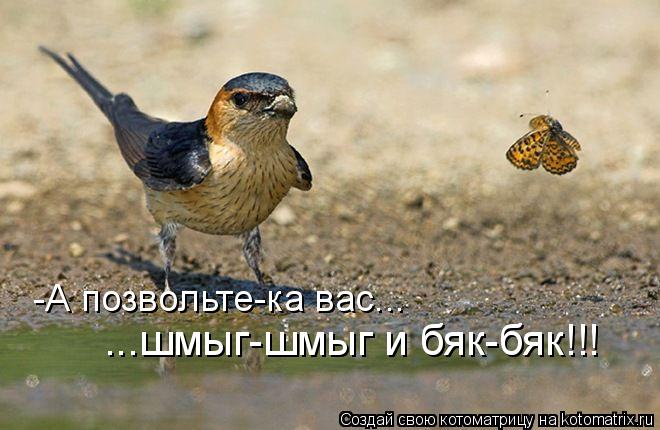 -Позвольте-ка вас ...шмыг-шмыг и бяк-бяк!!! -А позвольте-ка вас... ...шмыг-шмыг и бяк-бяк!!!... Котоматрица: -Позвольте-ка вас ...шмыг-шмыг и бяк-бяк!!! -А позвольте-ка вас... ...шмыг-шмыг и бяк-бяк!!!