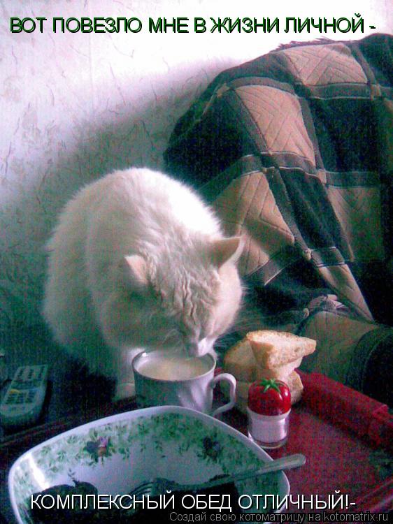 ВОТ ПОВЕЗЛО МНЕ В ЖИЗНИ ЛИЧНОЙ - КОМПЛЕКСНЫЙ ОБЕД ОТЛИЧНЫЙ!-... Котоматрица: ВОТ ПОВЕЗЛО МНЕ В ЖИЗНИ ЛИЧНОЙ - КОМПЛЕКСНЫЙ ОБЕД ОТЛИЧНЫЙ!-