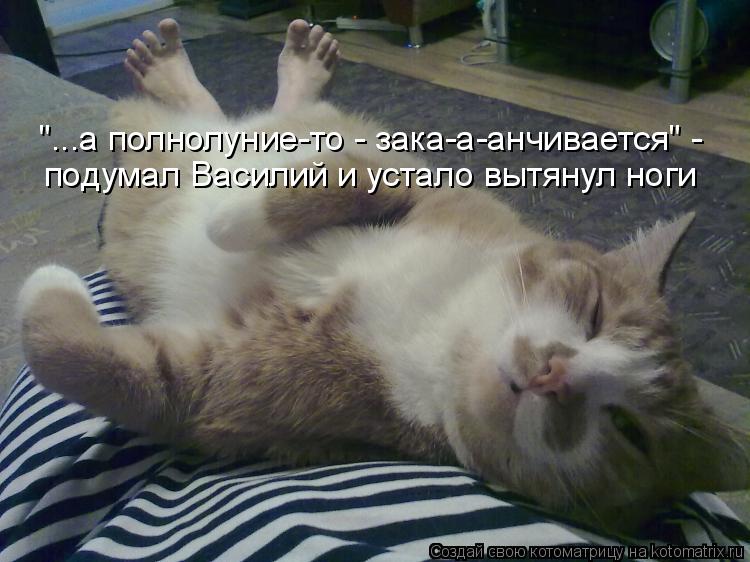 "...а полнолуние-то - зака-а-анчивается" - подумал Василий и устало вытянул ноги... Котоматрица: "...а полнолуние-то - зака-а-анчивается" - подумал Василий и устало вытянул ноги