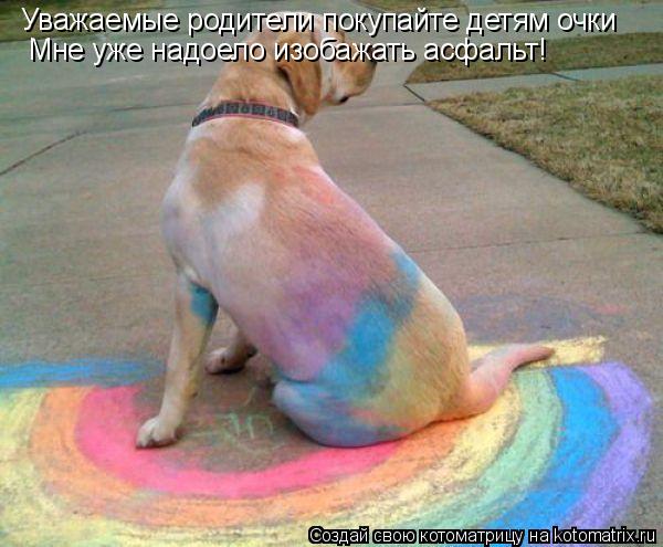 Котоматрица: Уважаемые родители покупайте детям очки  Мне уже надоело изобажать асфальт!