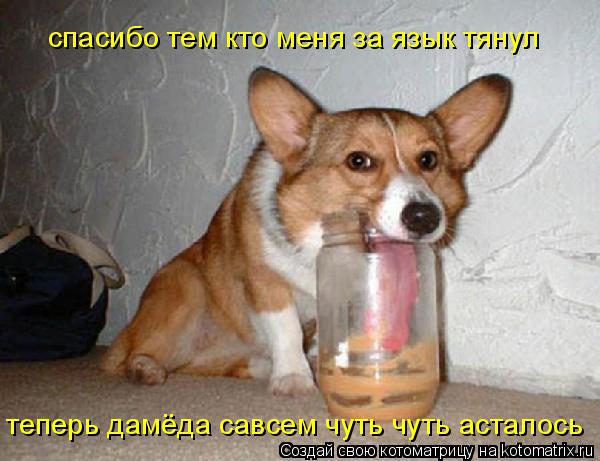 спасибо тем кто меня за язык тянул теперь дамёда савсем чуть чуть асталось... Котоматрица: спасибо тем кто меня за язык тянул теперь дамёда савсем чуть чуть асталось