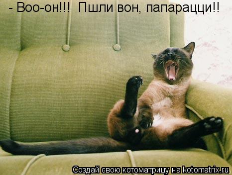 - Воо-он!!! Пшли вон, папарацци!!... Котоматрица: - Воо-он!!! Пшли вон, папарацци!!