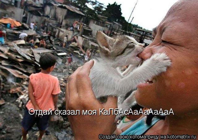 Отдай сказал моя КаЛбАсАаАаАаАаА... Котоматрица: Отдай сказал моя КаЛбАсАаАаАаАаА