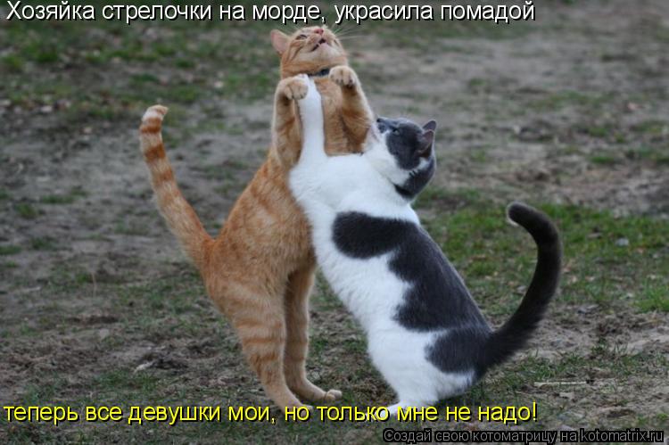 Хозяйка стрелочки на морде, украсила помадой теперь все девушки мои, но только мне не надо!... Котоматрица: Хозяйка стрелочки на морде, украсила помадой теперь все девушки мои, но только мне не надо!