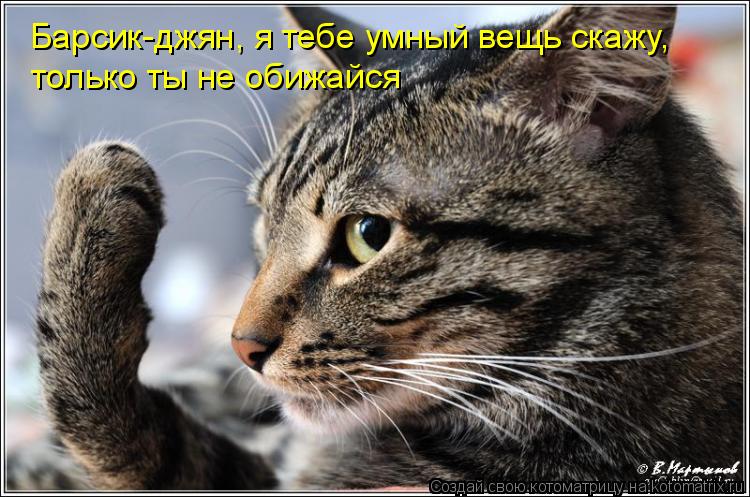 Барсик-джян, я тебе умный вещь скажу, только ты не обижайся... Котоматрица: Барсик-джян, я тебе умный вещь скажу, только ты не обижайся