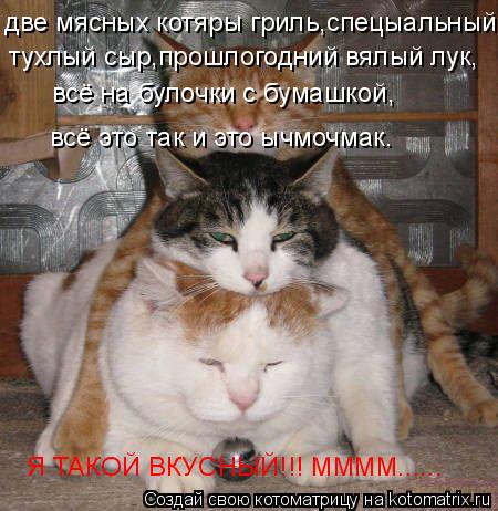 Котоматрица: две мясных котяры гриль,спецыальный тухлый сыр,прошлогодний вялый лук, всё на булочки с бумашкой, всё это так и это ычмочмак. Я ТАКОЙ ВКУСНЫ