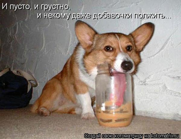 Котоматрица: И пусто, и грустно, и добавки положить некому... И пусто, и грустно,  и некому даже добавочки полжить...  и некому даже добавочки полжить...