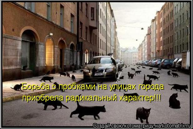 Котоматрица: Борьба с пробками на улицах города  приобрела радикальный характер!!!