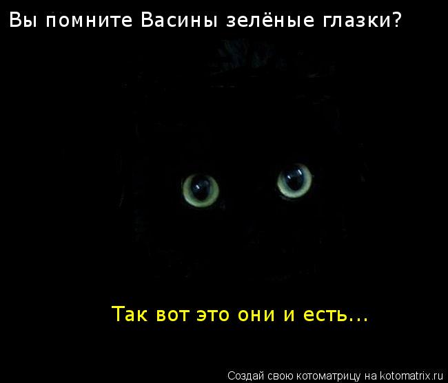 Котоматрица: Вы помните Васины зелёные глазки? Так вот это они и есть...