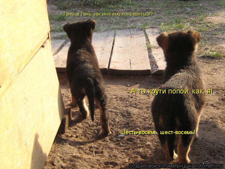 - Тань, а Тань, как мне ему понравиться? - А ты крути попой, как, я! Шесть-восемь, шест-восемь!... Котоматрица: - Тань, а Тань, как мне ему понравиться? - А ты крути попой, как, я! Шесть-восемь, шест-восемь!