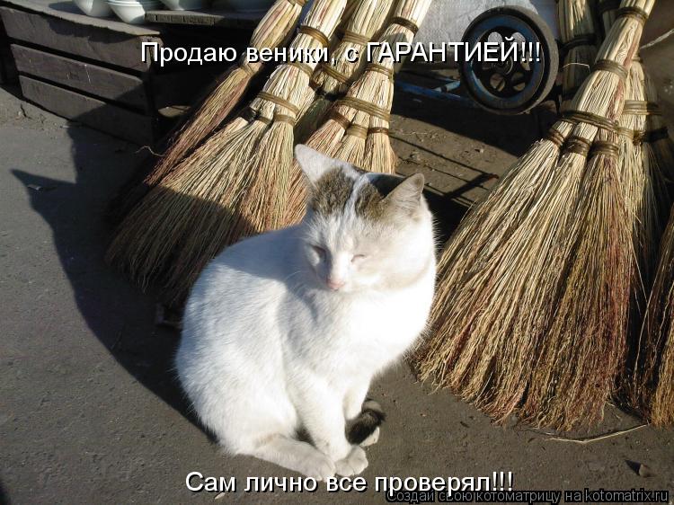 Продаю веники, с ГАРАНТИЕЙ!!! Сам лично все проверял!!!... Котоматрица: Продаю веники, с ГАРАНТИЕЙ!!! Сам лично все проверял!!!