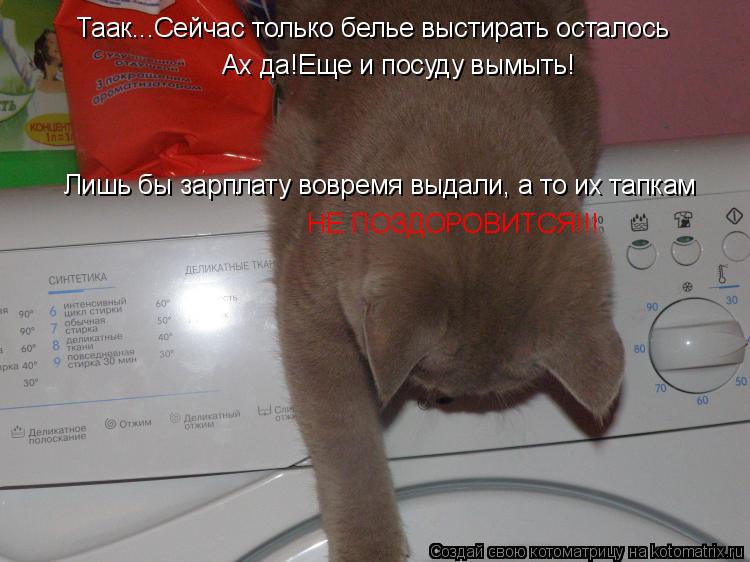 Таак...Сейчас только белье выстирать осталось Ах да!Еще и посуду вымыть! Лишь бы зарплату вовремя выд... Котоматрица: Таак...Сейчас только белье выстирать осталось Ах да!Еще и посуду вымыть! Лишь бы зарплату вовремя выдали, а то их тапкам НЕ ПОЗДОРОВИТСЯ!!!
