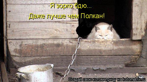 Я зорко бдю... Даже лучше чем Полкан!... Котоматрица: Я зорко бдю... Даже лучше чем Полкан!