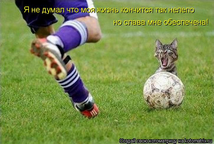 Я не думал что моя жизнь кончится так нелепо но слава мне обеспечена!... Котоматрица: Я не думал что моя жизнь кончится так нелепо но слава мне обеспечена!