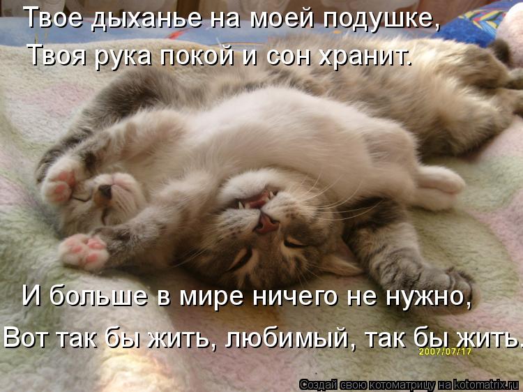Твое дыханье на моей подушке, Твоя рука покой и сон хранит. И больше в мире ничего не нужно, Вот так ... Котоматрица: Твое дыханье на моей подушке, Твоя рука покой и сон хранит. И больше в мире ничего не нужно, Вот так бы жить, любимый, так бы жить.