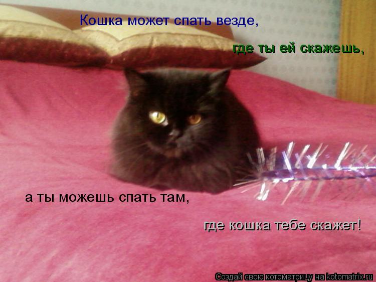 Кошка может спать везде, где ты ей скажешь, а ты можешь спать там, где кошка тебе скажет!... Котоматрица: Кошка может спать везде, где ты ей скажешь, а ты можешь спать там, где кошка тебе скажет!