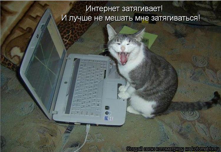 Интернет затягивает! И лучше не мешать мне затягиваться!... Котоматрица: Интернет затягивает! И лучше не мешать мне затягиваться!
