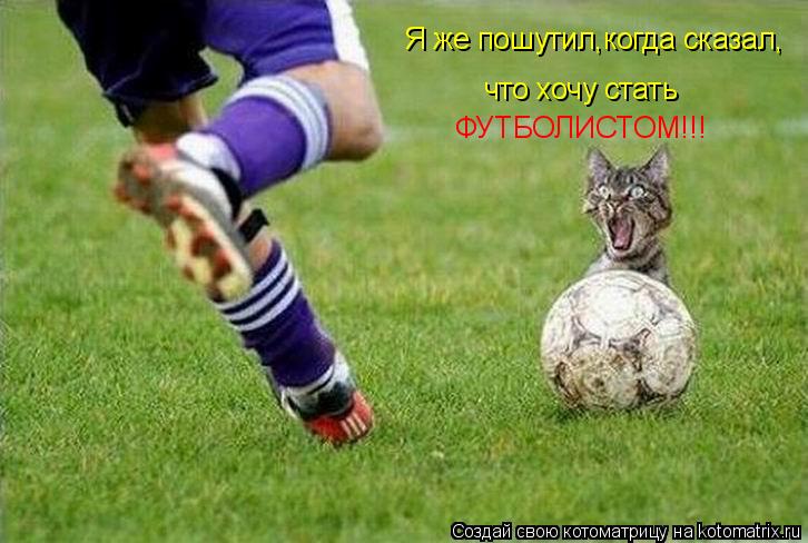 Я же пошутил,когда сказал, что хочу стать ФУТБОЛИСТОМ!!!... Котоматрица: Я же пошутил,когда сказал, что хочу стать ФУТБОЛИСТОМ!!!