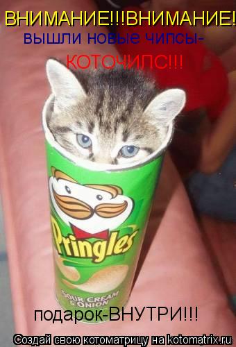 ВНИМАНИЕ!!!ВНИМАНИЕ!!! вышли новые чипсы- КОТОЧИПС!!! подарок-ВНУТРИ!!!... Котоматрица: ВНИМАНИЕ!!!ВНИМАНИЕ!!! вышли новые чипсы- КОТОЧИПС!!! подарок-ВНУТРИ!!!