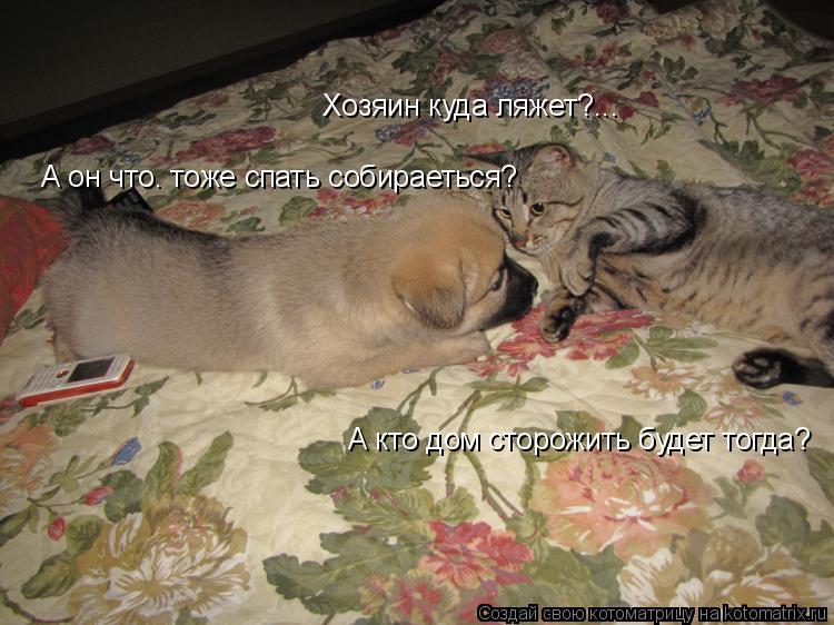 Хозяин куда ляжет?... А он что… тоже спать собираеться? А кто дом сторожить будет тогда?... Котоматрица: Хозяин куда ляжет?... А он что… тоже спать собираеться? А кто дом сторожить будет тогда?