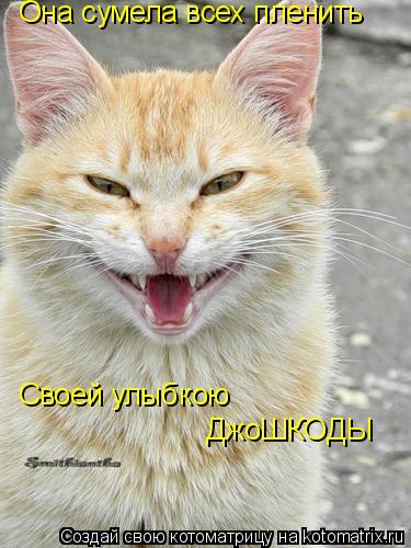 Своей улыбкою ДжоШКОДЫ Она сумела всех пленить... Котоматрица: Своей улыбкою ДжоШКОДЫ Она сумела всех пленить