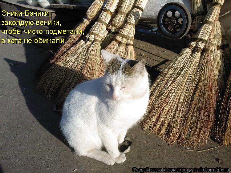 Эники-Бэники, заколдую веники, чтобы чисто подметали, а кота не обижали.... Котоматрица: Эники-Бэники, заколдую веники, чтобы чисто подметали, а кота не обижали.