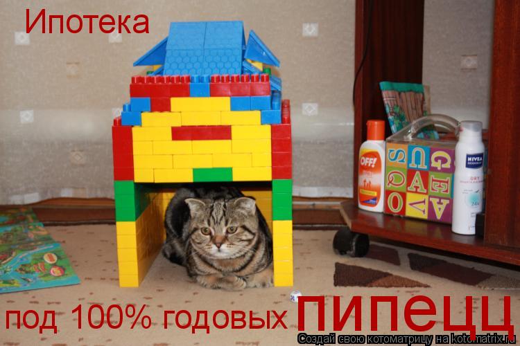 Ипотека под 100% годовых пипецц... Котоматрица: Ипотека под 100% годовых пипецц