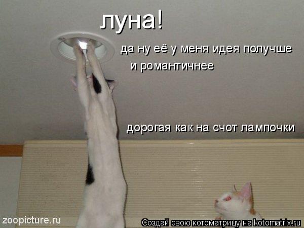 луна! да ну её у меня идея получше и романтичнее дорогая как на счот лампочки... Котоматрица: луна! да ну её у меня идея получше и романтичнее дорогая как на счот лампочки